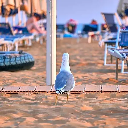 Comfy Flat 600m From The Sea With Hotel